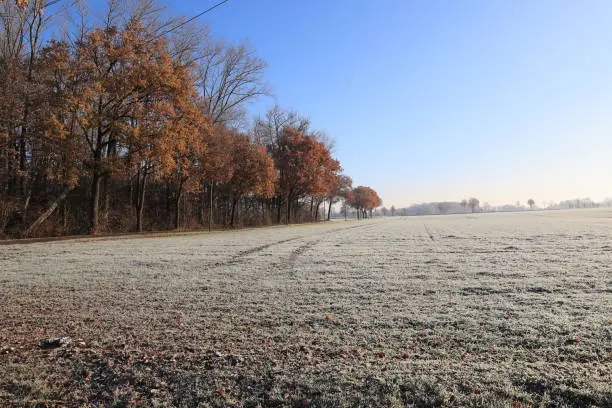 Dezember 13, 2022, Beckum im Münsterland: Beautiful winter landscape near Beckum in Münsterland