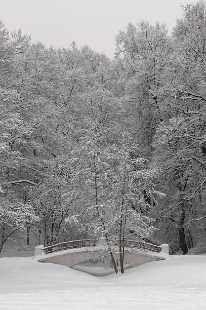 istock Winter fairy tale 9 144953217