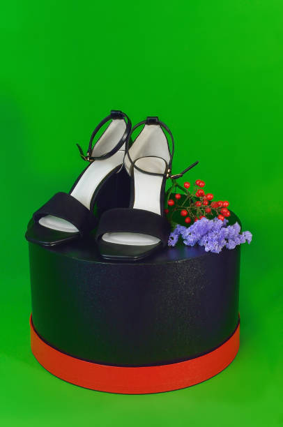 Female feet in fashion black shoes with high heel