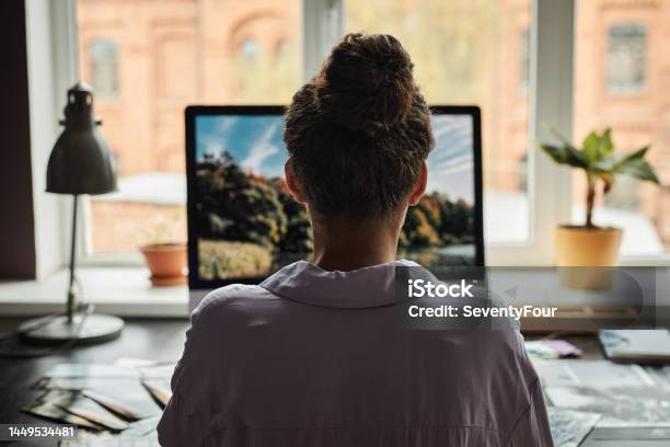 Woman Working In Home Office Stock Photo - Download Image Now - Rear View, One Person, People