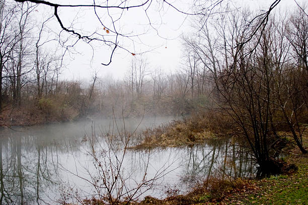 istock Foggy Winter Creek Scene 144953463