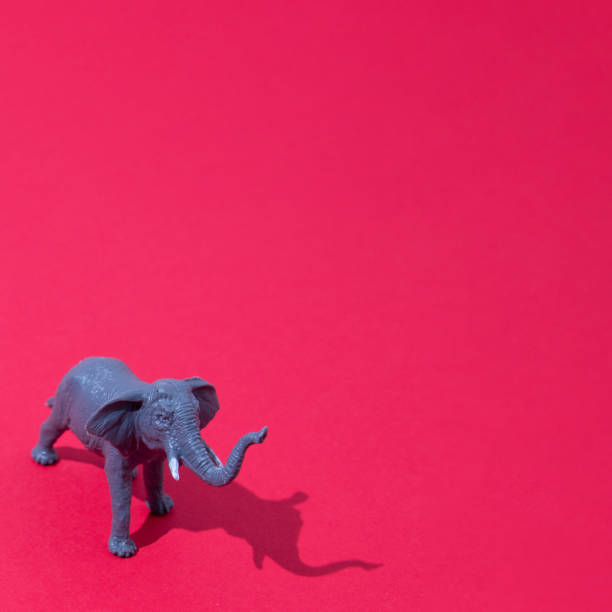 istock Elephant isolated on red background raised trunk with shade with copy space. Minimum wild life scene. 1449535406