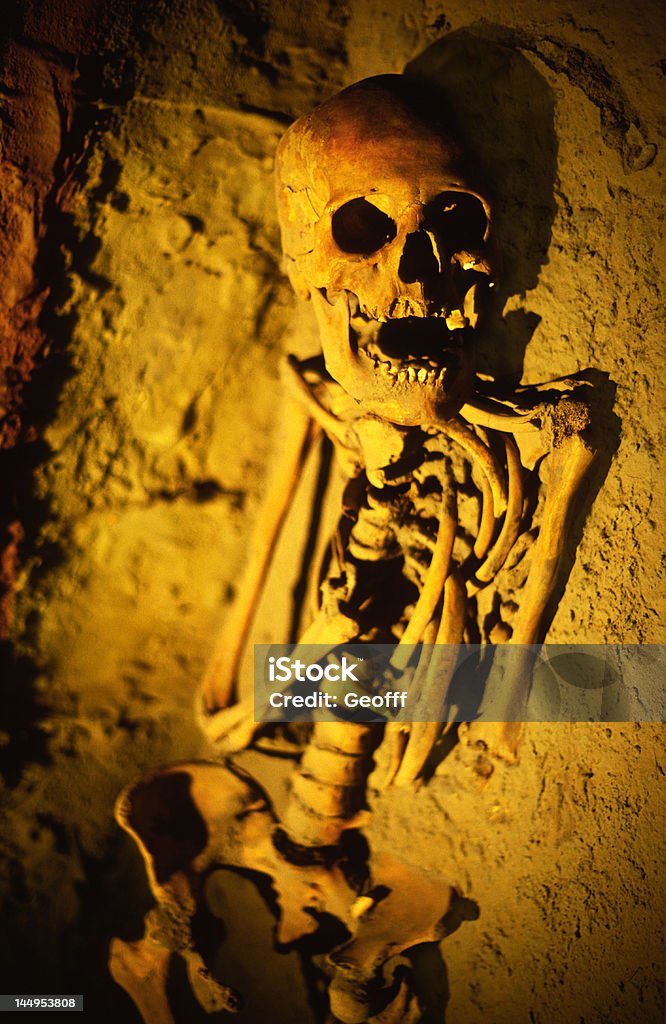 Skeleton - Foto de stock de Agujero libre de derechos