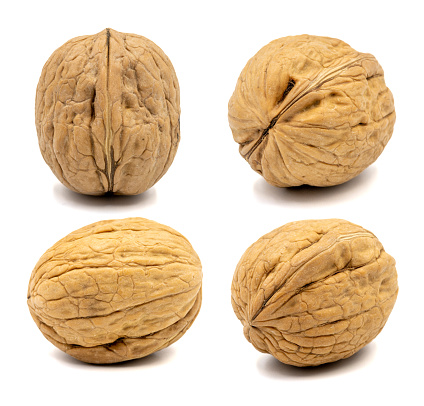 Set of Walnut images. Walnut isolated on a white background. Clipping Path. Full depth of field. close up