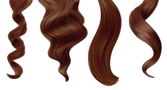 Shiny brown woman hair strands, straight and ponytail hairstyle, vector haircut and hair care beauty. Realistic female strands and long curl extensions for hair dye sample or shampoo package