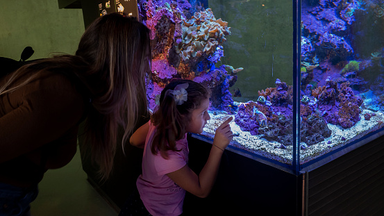 mother and daughter looking at an aquarium with fish and plants, with violet light. The girl points curiously at a fish
