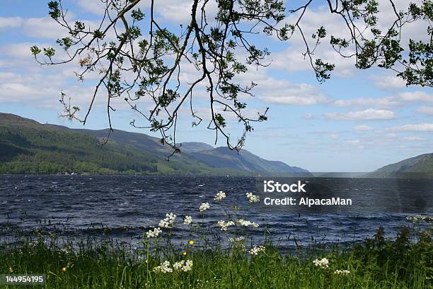 Loch Ness W Scottland - zdjęcia stockowe i więcej obrazów Bez ludzi - Bez ludzi, Biały, Chmura