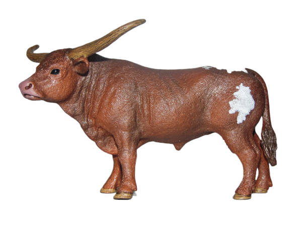 istock Toy zebu bull isolated on white background 1449543279