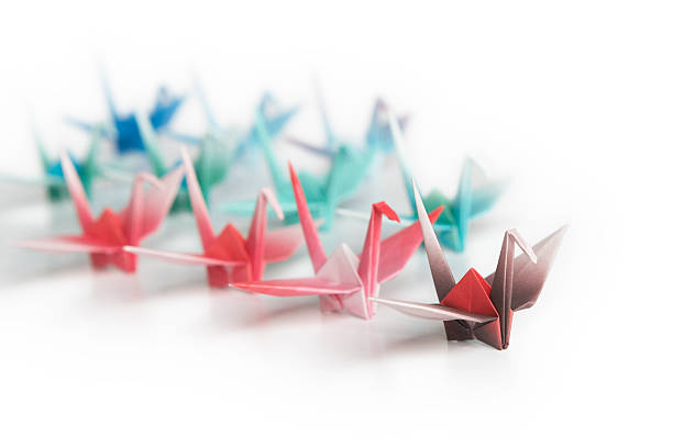 istock Flock of birds 144954606