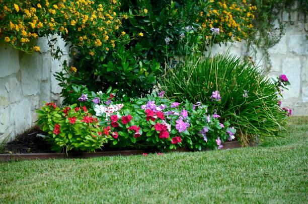istock Colorful flowers in a garden 1449547540