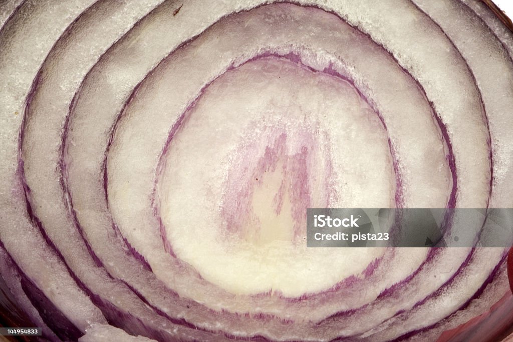 Violet isolé sur blanc oignon - Photo de Ail - Légume à bulbe libre de droits