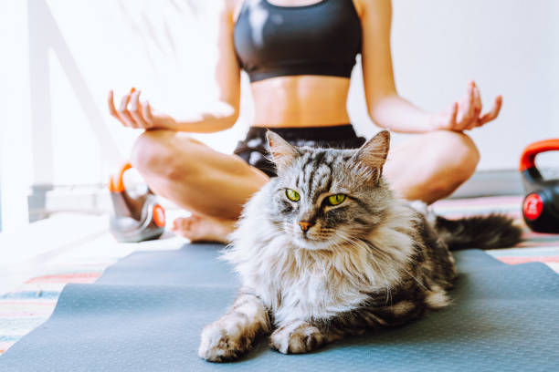 istock Home yoga with pets 1449548636