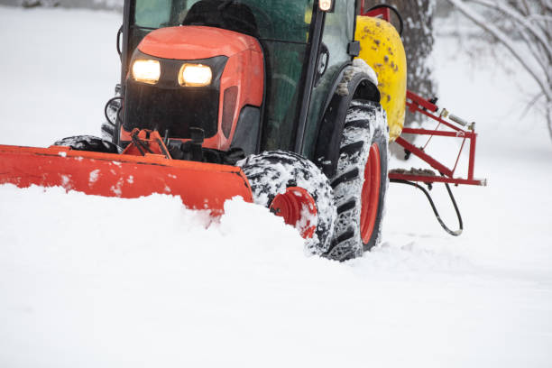 istock Tractor cleaning urban park paths on a cold snowy day. 1449549812