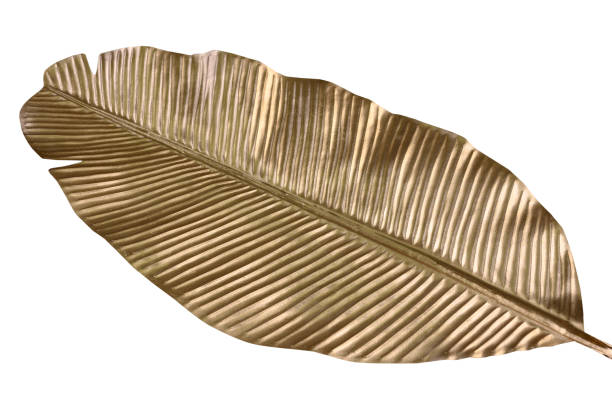 istock leaves Gold color tree on white background. 1449550129
