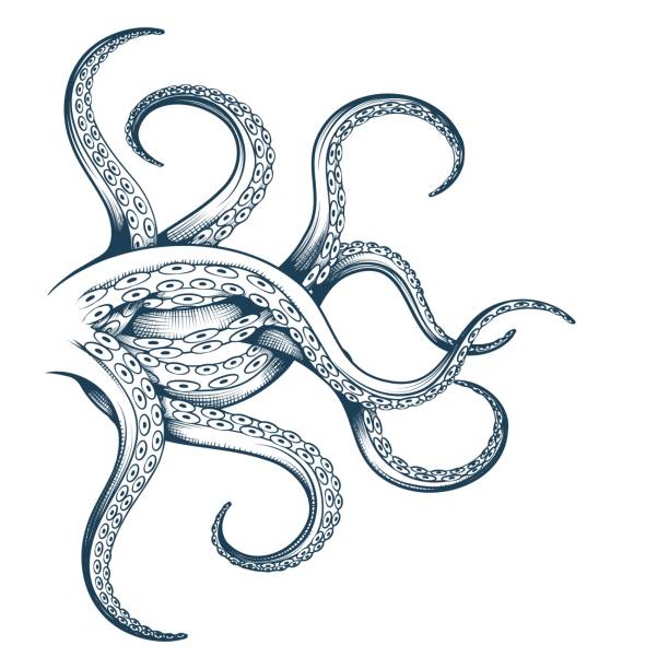 illustrazioni stock, clip art, cartoni animati e icone di tendenza di schizzo di inchiostro dei tentacoli - tentacle