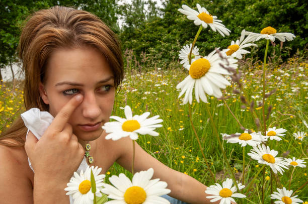 frowning young girl with pollen allergies or hay fever sneezing, due to smelling a chamomile