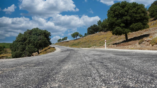 vista del cielo, los árboles, los maquis y las nubes a lo largo de una carretera asfaltada desgastada en una ciudad del egeo - country road lane road dirt road fotografías e imágenes de stock