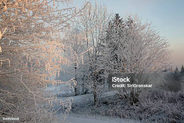 冷凍の景観 - まぶしいのストックフォトや画像を多数ご用意 - まぶしい, パステルカラー, 一月