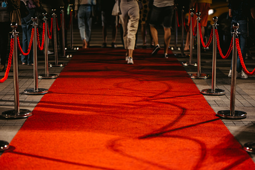 Red carpet event at night with rope barriers.