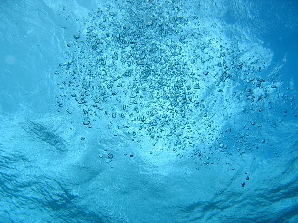 irregularly shaped airbubbles ascending to the water surface from below