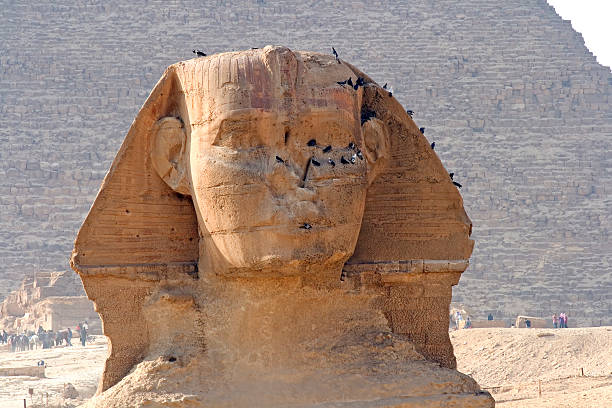 sphinx de gizeh - zoomorphic photos et images de collection