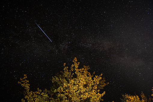 A shooting star in the night starry sky and a tree in the foreground. High quality photo
