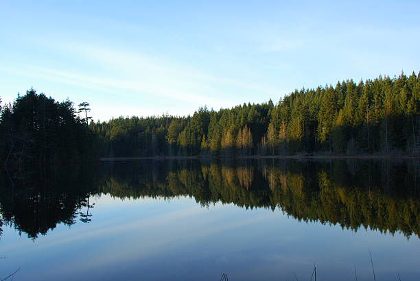 istock Sunshine Coast Lake 144956350