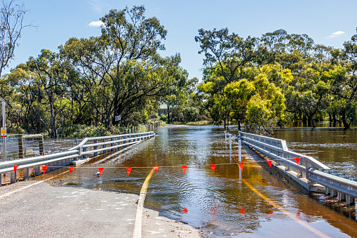Flooded Lock Five Road bridge with rising River Murray waters: road closed, hi-vis red triangles warning of danger, flooded bush land beyond.