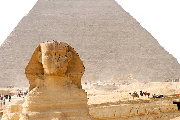 grand sphinx - zoomorphic photos et images de collection