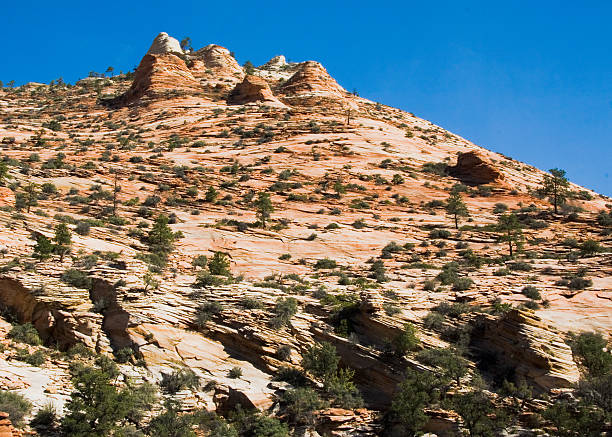 istock Large Rock Formation in Zion National Park 144956621