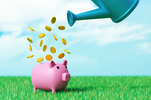 Watering the piggy bank with coins. Investment Concept.