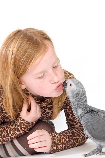 beatifull キス若い女の子ベビーパ - african grey parrot ストックフォトと画像
