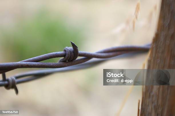 Barbed Wire Stock Photo - Download Image Now - Adversity, Agricultural Field, Agriculture