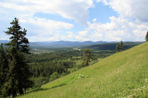 istock Valley in Canadian Rockies 144956763