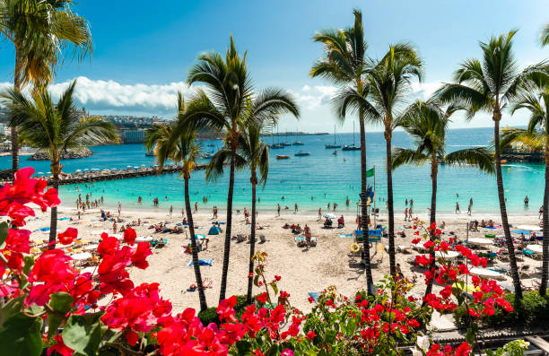 istock Anfi Del Mar resort in the summertime 1449570354