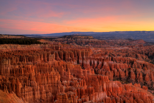 Bryce National Park at dawn