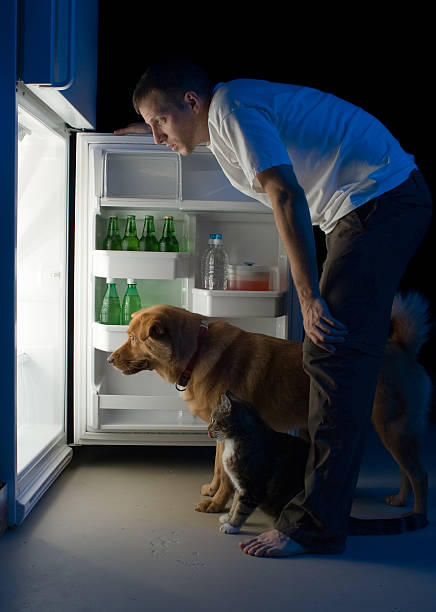 Man looking into fridge stock photo