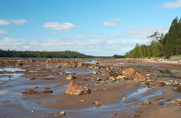 istock Low-tide in a gulf of cold sea 144957513