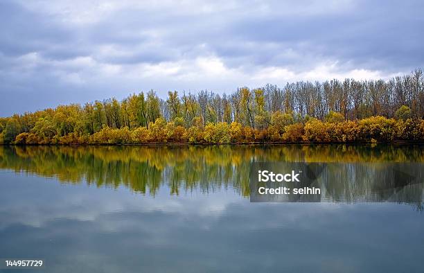 Outono O Rivers Pojma Antes De Uma Chuva - Fotografias de stock e mais imagens de Ajardinado - Ajardinado, Amarelo, Ao Ar Livre