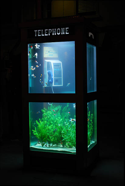 Aquarium telephone booth stock photo