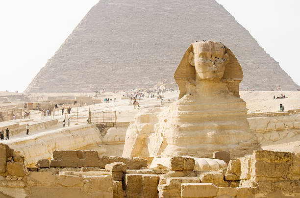 le grand sphinx - zoomorphic photos et images de collection