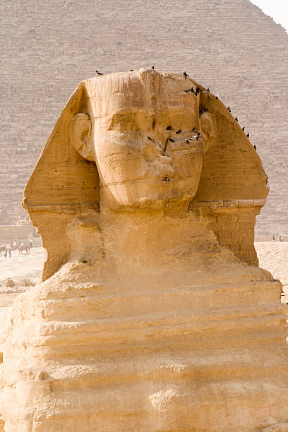 grand sphinx - zoomorphic photos et images de collection