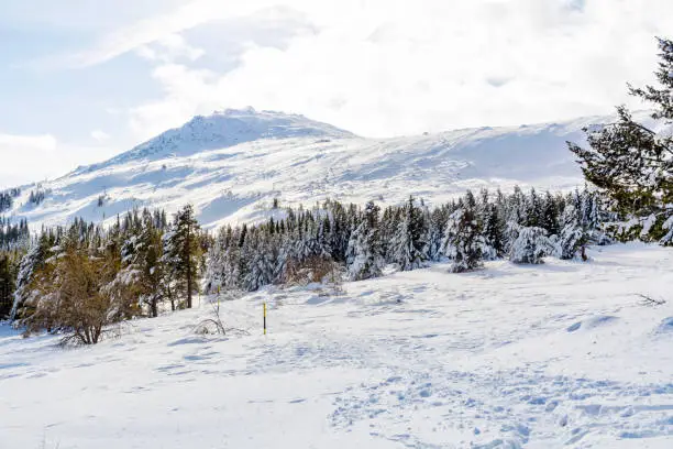 Photo of Beautiful Winter Mountain  Landscape .Vitosha Mountain, Bulgaria