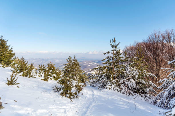 istock Beautiful Winter Mountain  Landscape .Vitosha Mountain, Bulgaria 1449581085