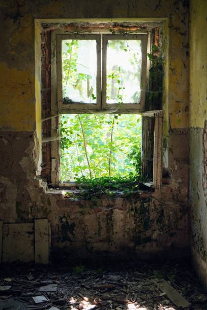 The so-called “bay of abandoned hotels” is the complex of former hotels in Kupari, Croatia that has been neglected for some twenty years now. There are seven hotels in the complex (Grand, Goričina I, Goričina II, Kupari, Pelegrin, Mladost and Galeb) and all of them are in disrepair.