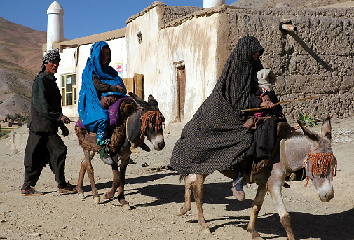 Syadara (Siyah Darah), Bamyan (Bamiyan) Province / Afghanistan: An Afghan man walks behind two women riding donkeys in the town of Syadara in Central Afghanistan. Man with women and donkeys