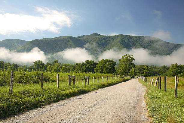 istock Summer Country Road 144958379