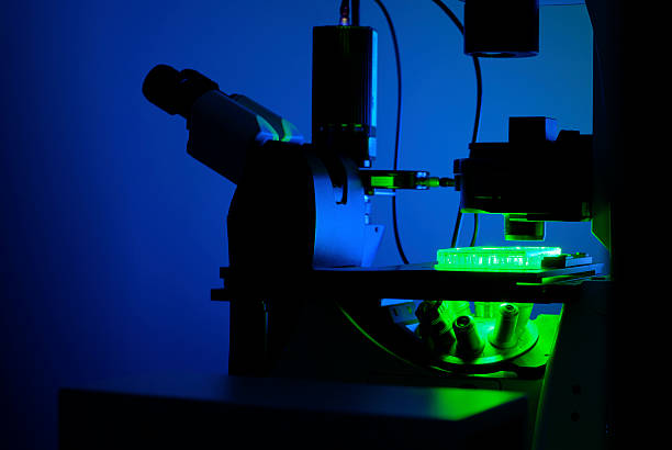 Microscope en lumière bleue - Photo