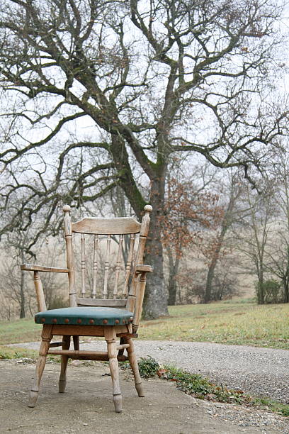 istock chair in front of a old tree 144958495