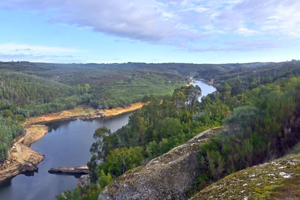 istock Scenic lake surrounded by a large forest on a sunny day 1449585666